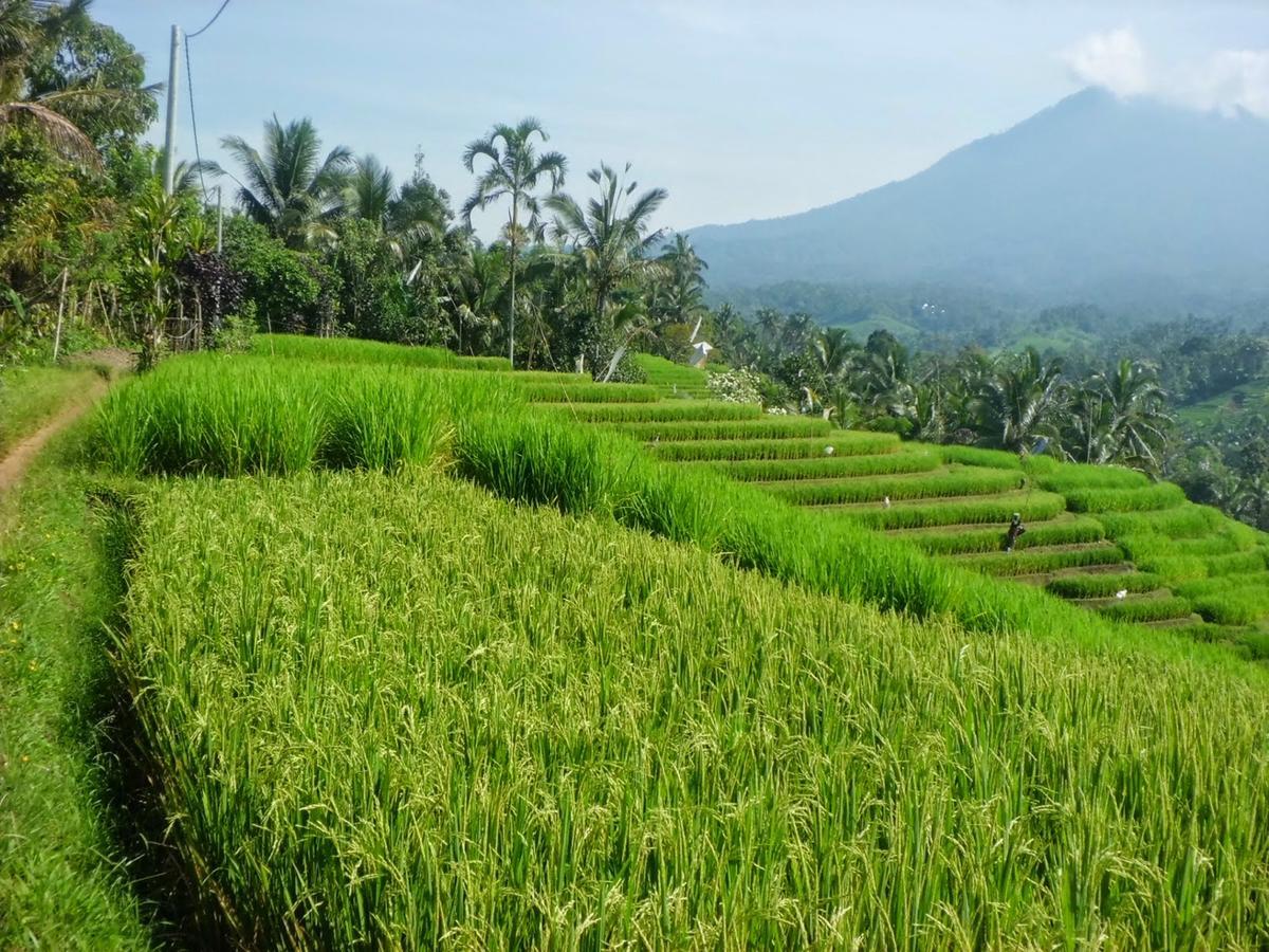 Zen Rooms Basic Kuta Kubu Anyar Екстер'єр фото