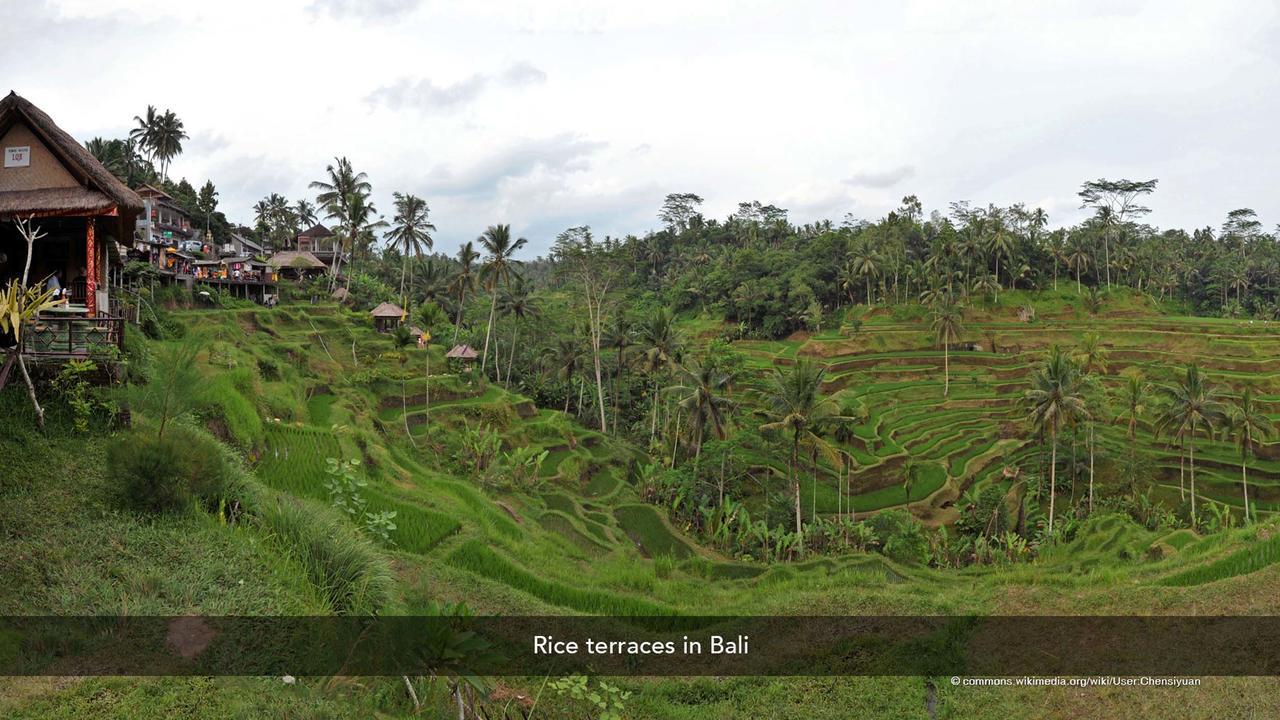 Zen Rooms Basic Kuta Kubu Anyar Екстер'єр фото